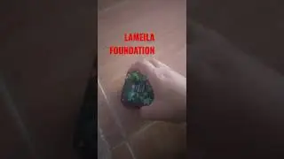 #SHORTS|LAMEILA FOUNDATION VIRAL