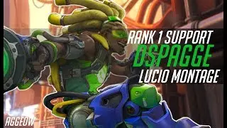 Rank #1 Support Worldwide Lucio Montage