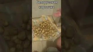 23 августа 2024 г.