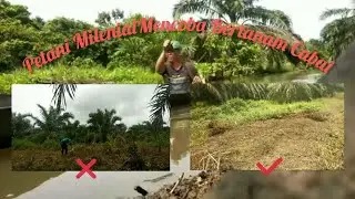 Petani Milenial || Proses Awal Berkebun Cabai (Part1)