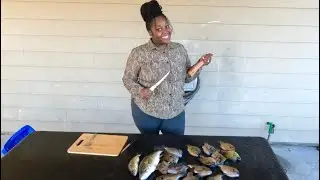 Filleting Bass and Cleaning Bluegill