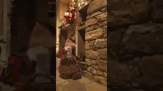 Holiday Shorts
