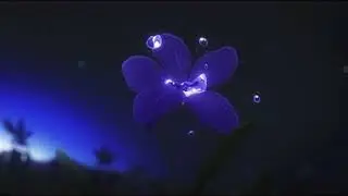juice wrld - righteous (slowed + reverb)