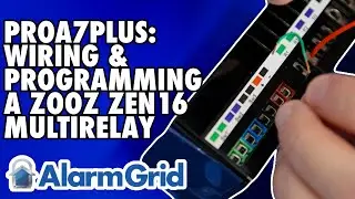 PROA7PLUS: Wiring & Programming a Zooz ZEN16 MultiRelay