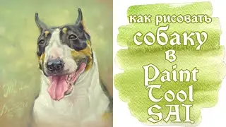 как рисовать собаку в Paint Tool Sai | бультерьер