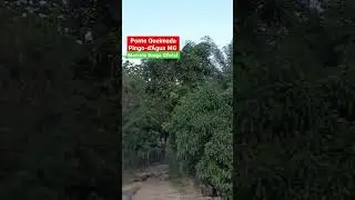 Furamos o Pneu da S10 na Ponte Queimada.