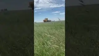 К-701 #farming #кировец #automobile