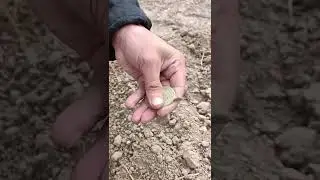 Нашел старинный медальон , коп металлоискатель xp deus