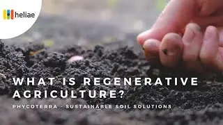 What is Regenerative Agriculture? | Learn How PhycoTerra is Truly Creating More Fertile Soil