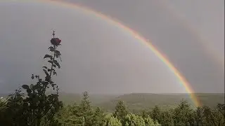 Вальс дождя