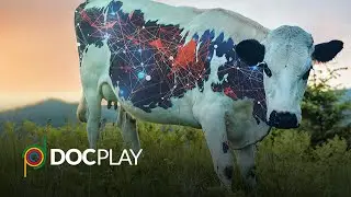 Meat the Future | Official Trailer | DocPlay