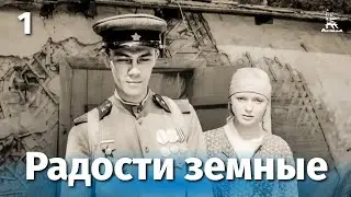 Радости земные, 1 серия (мелодрама, реж. Сергей Колосов, 1988 г.)