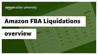 Amazon FBA Liquidations (overview)