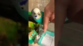 Семейка адамс…