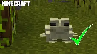 MINECRAFT | How to Find FROGS! 1.19.1