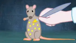 Pourquoi l'experimentation animale est-elle inutile et dangereuse pour la santé humaine ? (GAIA)