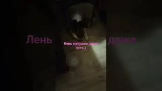 Лень матушка, даже есть)