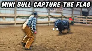 We Played Capture the Flag With Our ANGRY MINI BULL!