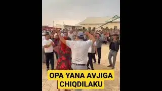 OPA BU SAFAR YOMON QILDILAKU
