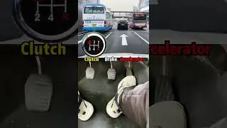 Watch the video and learn to drive a manual car very easily!#driving #tips #howto #skills #car