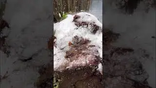 Тест-сравнение петард Grizzly от фирмы Русская петарда и Шухер от 