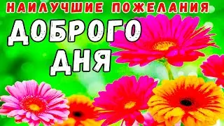 🌸ДОБРОЕ УТРО! ВОСКРЕСЕНЬЕ 24 ОКТЯБРЯ! ЖЕЛАЮ ДОБРОГО ДНЯ