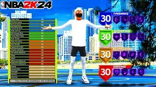 This 6'10 ISO STRECH is BREAKING NBA 2K24!