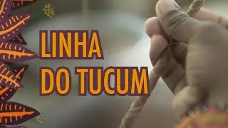 Projeto Educacional de Bio Design - Linha do Tucum