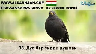 38  Дуо бар зидди душман 32