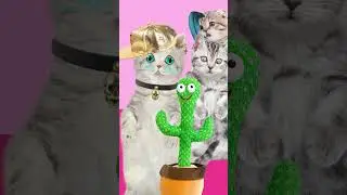cactus VS beatbox 2 /#beatbox  /cat beat box/ funny pets / funny cat animation/고양이 비트박스/웃긴 고양이 애니메이션