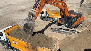 Doosan Develon Excavator  Trucks Loading