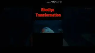 BHEDIYA TRANSFORMATION | VARUN DHAWAN | KIRTI