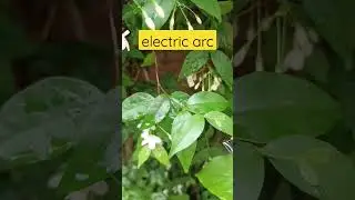 electric arc