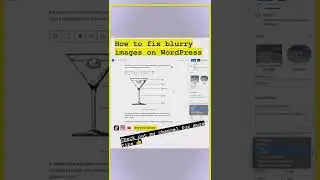 How to Fix Blurry WordPress Images_Blog Post Photos (WordPress Backend)