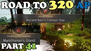 BDO - Road To 320 AP Part 41: The First and Second Piece of The Infinite MP Potion