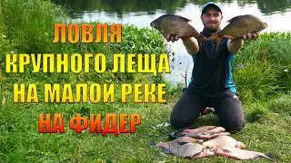 Ловля крупного леща на малой реке на фидер. Раскрыл все секреты ловли. Рыбалка 20222.