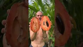 The Most Satisfying Fruit In The World