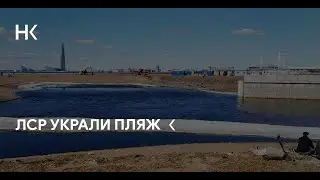 Петербургу грозит экокатастрофа: жители против Северного намыва