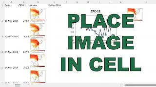 New Excel Feature - Place Images in Cells