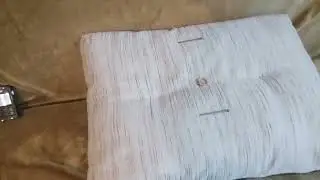 Deus2 тест на золотое кольцо.