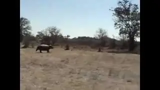 ЗДЕСЬ СЪЁМКА ЗАПРЕЩЕНА!!!)))