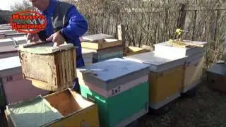 Приспособление для переноски рамок с пчелами