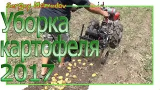 ➤УБОРКА КАРТОФЕЛЯ 2017