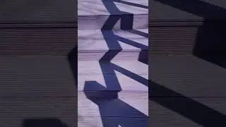 walking world