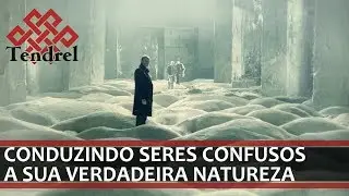 Luz, câmera, darma: Stalker (1979)
