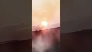 мы едем за грибами рыжиками🧡❤