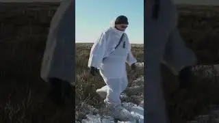 🤔 Охота на севере
