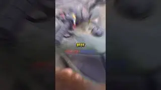 Biker protects KITTY.. 👀