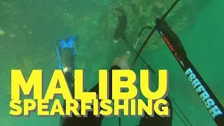 Spearfishing Malibu