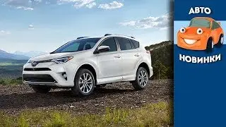 Новый РАВ 4 2019 - 2020 пятого поколения